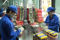 Pin Hà Nội (PHN): Lợi nhuận quý I/2021 giảm 14%, xuống 7,9 tỷ đồng, trả cổ tức tỷ lệ 15%