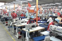May 10 (M10) phát hành hơn 1,5 triệu cổ phiếu ESOP, giá 13.600 đồng/CP