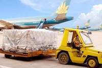 Dịch vụ Hàng hóa Nội Bài (NCT) chốt quyền trả cổ tức đợt 3/2020, tỷ lệ 15%