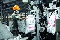 Cổ phiếu VAF của Phân lân Nung chảy Văn Điển đứng trước nguy cơ phải rời HOSE