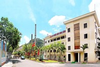 Nhiệt điện Ninh Bình (NBP) thanh toán cổ tức năm 2020, tỷ lệ 15%