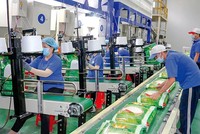 Trung An (TAR): Chi phí tăng cao, lợi nhuận sau thuế quý II giảm 47% xuống 17 tỷ đồng