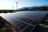 Chuyển nhượng dự án, Bamboo Capital (BCG) báo lãi 217,9 tỷ đồng trong quý III/2021, tăng 186% dù doanh thu giảm