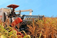 HAGL Agrico (HNG): 9 tháng báo lỗ 303,6 tỷ đồng, nâng lỗ lũy kế lên 2.610 tỷ đồng