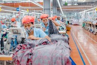 Quý III/2021, May Sông Hồng (MSH) đạt lợi nhuận sau thuế 118,8 tỷ đồng, tăng 179%