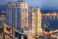 Tập đoàn TNT (TNT) thu ròng 254,9 tỷ đồng từ đợt chào bán riêng lẻ 25,5 triệu cổ phiếu 