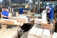 Gỗ Thuận An ghi nhận lợi nhuận trước thuế đạt hơn 5,3 tỷ đồng trong 6 tháng đầu năm 2023.