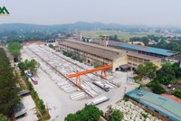 Xuân Mai - Đạo Thúy (XMD) đặt mục tiêu lãi 2,7 tỷ đồng, cổ phiếu tăng gấp hơn 30 lần trong 1 tháng