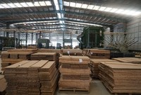 Cổ phiếu SJF của Sao Thái Dương được ra khỏi diện cảnh báo từ ngày 15/4