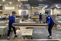 Gỗ Thuận An (GTA) báo lãi sau thuế quý II tăng nhẹ, đạt 5,94 tỷ đồng