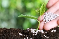 Áp thuế suất GTGT 5%, giá phân bón có dư địa giảm