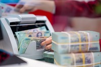 BVSC: Lãi suất sẽ tiếp tục giảm, nhưng chậm hơn các tháng qua