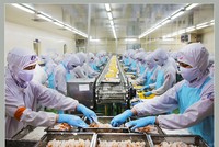 Xuất khẩu thủy sản tháng 6 tăng 4%, Vasep đưa ra hai kịch bản trong nửa cuối năm