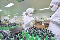 Traphaco (TRA) chi hơn 80 tỷ đồng tạm ứng cổ tức năm 2025 