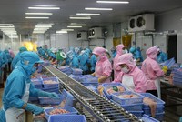 Xuất khẩu thuỷ sản sang Mỹ giảm 15% trong tháng 4, nhưng có thể bật tăng 10 - 15% trong 2 tháng tới