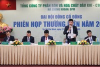 ĐHĐCĐ Phân bón và Hoá chất Dầu khí (DPM): Mục tiêu lợi nhuận đạt 2.250 tỷ đồng, trả cổ tức 40%