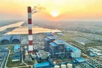 Điện lực miền Bắc đón nhiều tin vui