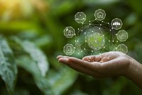 Các ngân hàng tìm lời giải để thúc đẩy tín dụng xanh, hỗ trợ doanh nghiệp phát triển bền vững