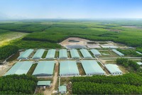 Nova Consumer (NCG) chi 24 tỷ đồng thành lập Nova AI Mall, bảo lãnh tín dụng cho 2 công ty con 