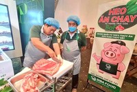 Giá heo chạm đáy, Nông nghiệp BaF Việt Nam (BAF) mang về khoản lãi 119 tỷ đồng trong quý I, gấp 30,5 lần cùng kỳ