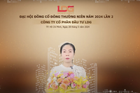 Bà Nguyễn Thị Mỹ Trinh, Trưởng ban kiểm tra tư cách đại biểu tham dự ĐHĐCĐ Đầu tư LDG