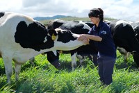 Vilico (VLC) sắp chi hơn 127 tỷ đồng trả cổ tức năm 2023 