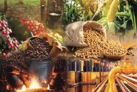 Thị trường hàng hoá phát triển nhanh, nhưng chưa đạt kỳ vọng 