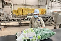 Phân bón và Hoá chất Dầu khí Miền Trung (PCE) giảm 12,5% mục tiêu lợi nhuận năm 2025