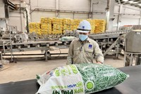 Phân bón và Hoá chất Dầu khí Đông Nam Bộ (PSE) đặt mục tiêu lợi nhuận năm 2025 giảm hơn 13%