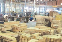 Gỗ và dược phẩm có khả năng sẽ bị Mỹ áp thuế trong thời gian tới