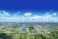 CEO BambuUP: Quỹ đầu tư quốc tế đang dần "để mắt" đến startup bền vững tại Việt Nam