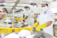 Thuỷ hải sản Sài Gòn (APT) gánh món nợ vàng 15 năm và bài toán chưa lời giải