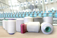 Vạn Đạt Group (VDG) muốn chuyển nhượng toàn bộ vốn góp tại công ty con trong lĩnh vực sợi, chỉ may