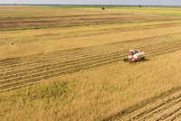 Trung An (TAR) kỳ vọng thoát diện bị hạn chế giao dịch, Tổng giám đốc đăng ký mua 1,2 triệu cổ phiếu