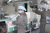 DAP – Vinachem (DDV) vượt 60% mục tiêu lợi nhuận cả năm sau 6 tháng 