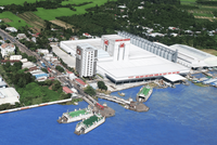 Tập đoàn Sao Mai (ASM) sắp phát hành 37 triệu cổ phiếu trả cổ tức, tỷ lệ 10%