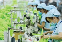 Lợi nhuận ngành dệt may: Tích cực chiếm ưu thế 