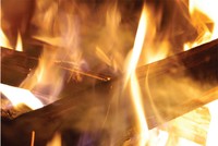 Ngày Xuân, “ăn cơm mới, nói chuyện cũ”