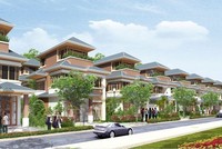 Dự án đúng tiến độ hút khách