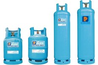 PGC tính giảm cả doanh thu và lợi nhuận trong 2014