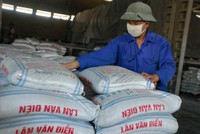 Phân lân nung chảy Văn Điển sẽ niêm yết gần 29 triệu cổ phiếu lên HOSE