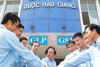 DHG dự tính nâng cổ tức bằng tiền mặt 2013 lên 30%