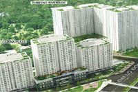 NBB sẽ phát hành cổ phiếu giá “bèo” cho cổ đông