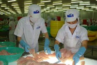 HVG muốn mua tiếp 2 triệu cổ phiếu VTF