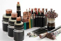 TYA tiếp tục đi vay 7 triệu USD để kinh doanh