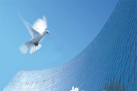 HBC mới hoàn thành 41% kế hoạch lợi nhuận 2014