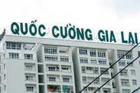 QCG: Lợi nhuận sau kiểm toán giảm mạnh 42%