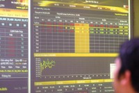 Tỷ lệ đòn bẩy cao đã kích thích tâm lý may rủi, khiến nhiều nhà đầu tư nhắm mắt lao vào sàn vàng như những con nghiện cờ bạc 