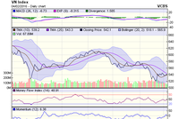 Biểu đồ kỹ thuật VN-Index. Nguồn: VCBS