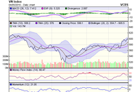 Biểu đồ kỹ thuật VN-Index. Nguồn: VCBS
